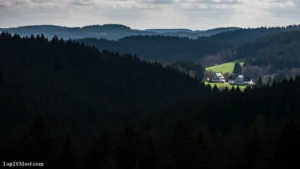 Top 10 Most Beautiful Forests in Germany